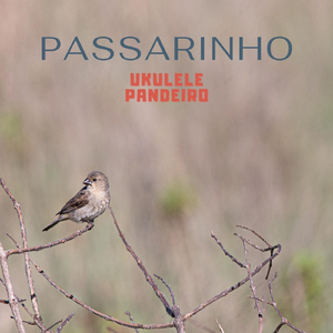 Passarinho