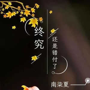 终究还是错付了