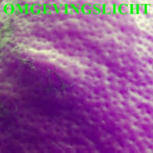 Omgevingslicht
