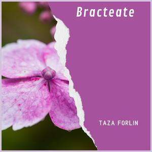 Bracteate