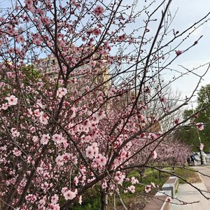 犯罪现场的危机倒计时