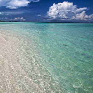 你把爱情给了谁