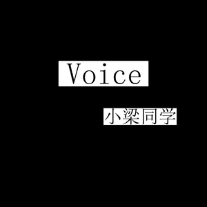 Voice