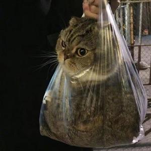 0dc7b8d20ed0fe22b1305cef10fa5c97