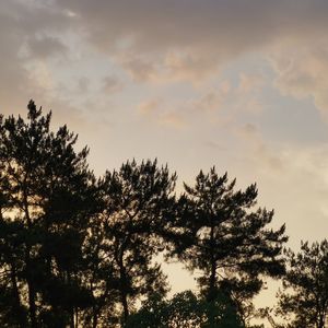 被遗忘冲刷的过去