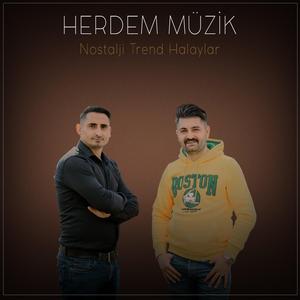 Halay 1 (feat. Herdem Müzik)