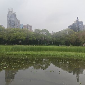 午间落雨.wav