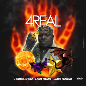 4Real (Radio Edit)