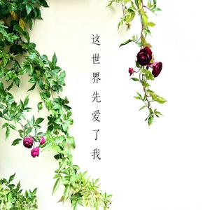 这世界先爱了我（伴奏）