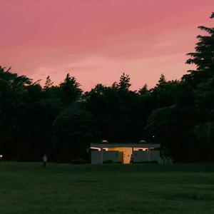 关于夏日 关于晚风