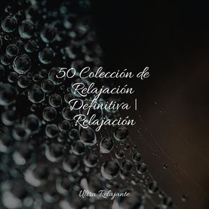 Los Aleros De La Noche