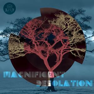 Magnificent Desolation