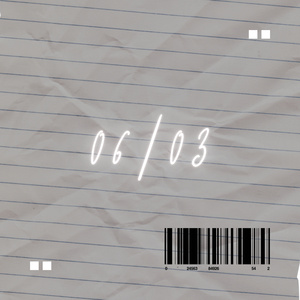 06/03