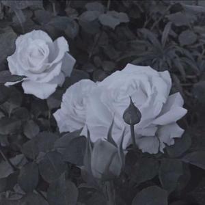 一拳把你干趴 伴奏