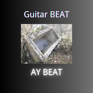 【免费使用】 “RIP” - Guitar type beat