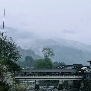 想你一次起一阵风