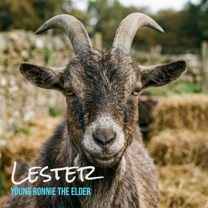 Lester