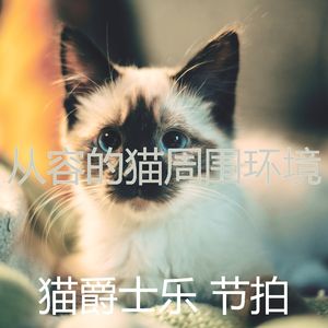 有趣睡猫情怀