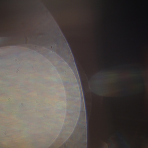 thoughtscape (LIVE lullaby cycle)