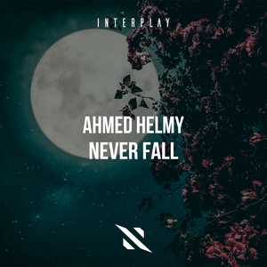 Never Fall (Extended Mix)