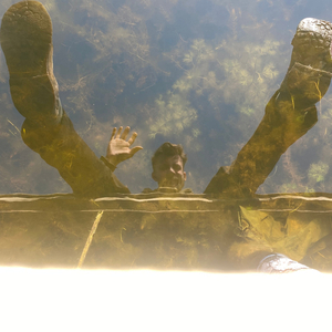 Вітер полем