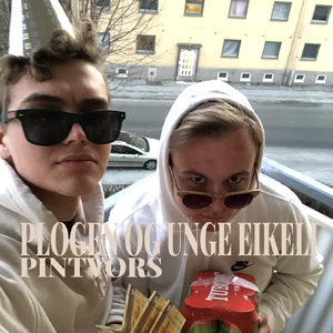 Pintvors