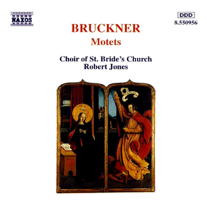 Afferentur regi in F Major, WAB 1:Afferentur regi, WAB 1