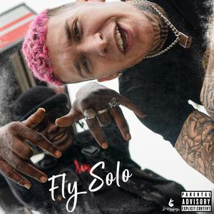 Fly Solo (feat. Raiz Rose)