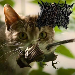 Nesting in the Intestines of the Newborn Infant