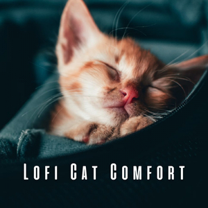 Whisker Lofi Melodies