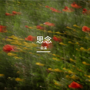 《槐秋》