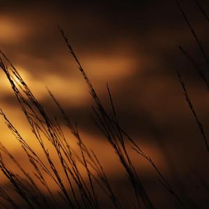 【free beat】剑锋