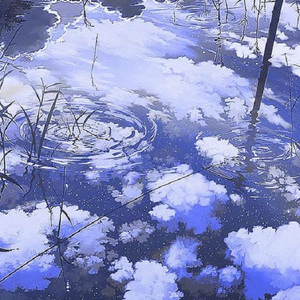 パーセンテージ