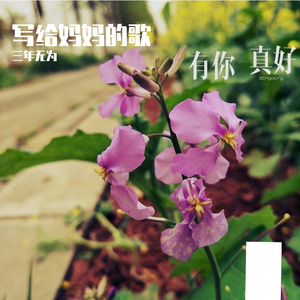 感恩有您，我的妈妈