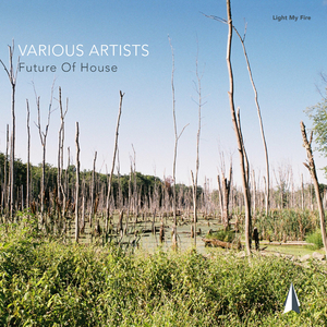 Castle in the Air (Low Steppa Remix)