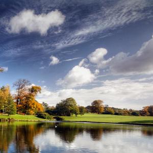 夏天的下一天（instrument）