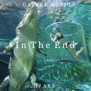 In The End (DJ ARS Remix)