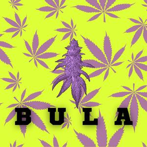 BULA (feat. Majk)