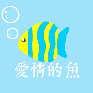 爱情的鱼 伴奏