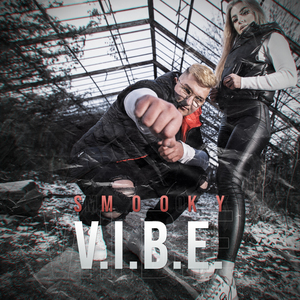 V.I.B.E.