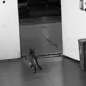 在白云大道北等了三分钟地铁(demo)