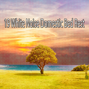 失眠摧毀白噪音