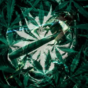 Emerald Legislation