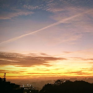 De onde vim e pra onde vou