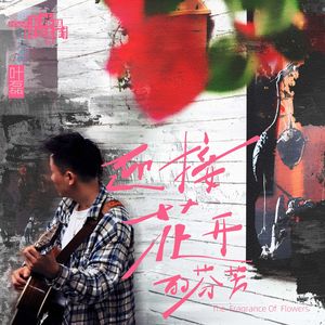 迎接花开的芬芳