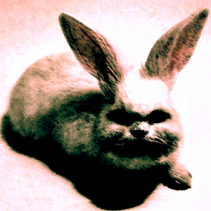 Construction (Sceptical C Remix)