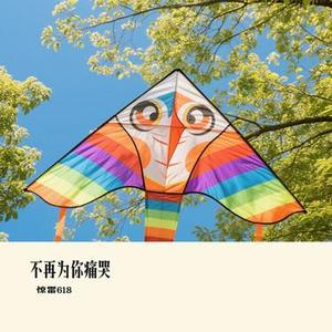 不再为你痛哭