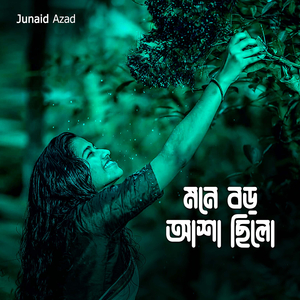 মনে বড় আশা ছিলো