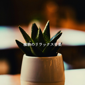 Smoky Moods for Calming Perspectives