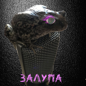 Залупа